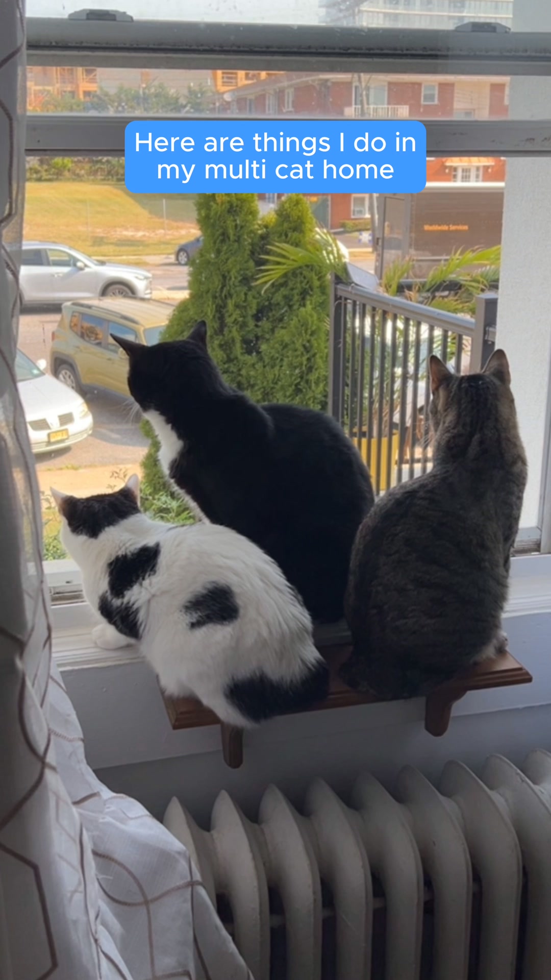 Boxiecat Facebook ad: Probiotic Litter, Robot-Ready