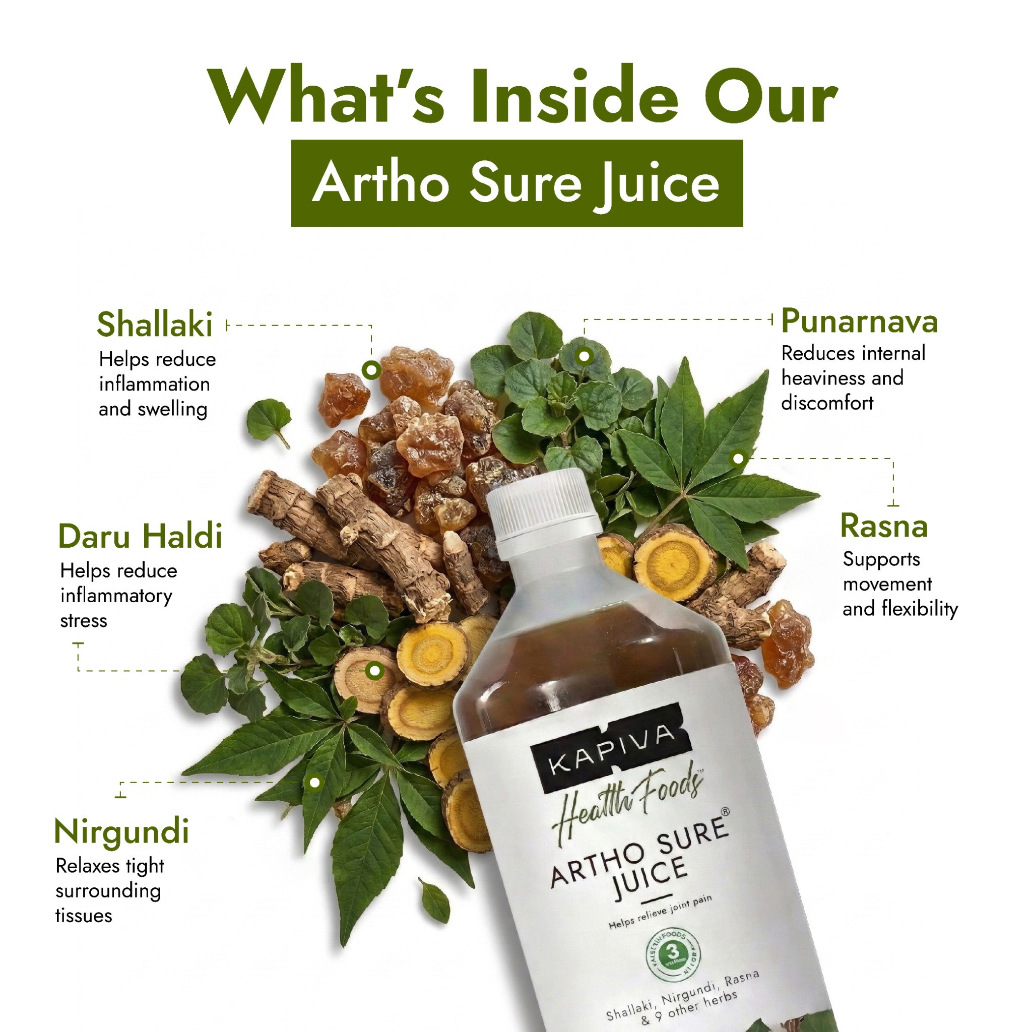 Chronic Health Solutions by Kapiva Facebook ad