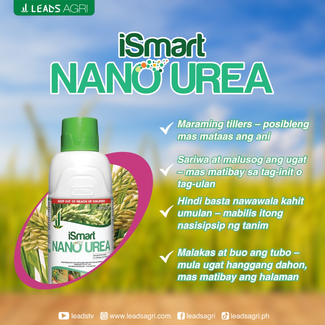 Leads Agri Facebook ad: MAY NANO UREA KA NA BA?