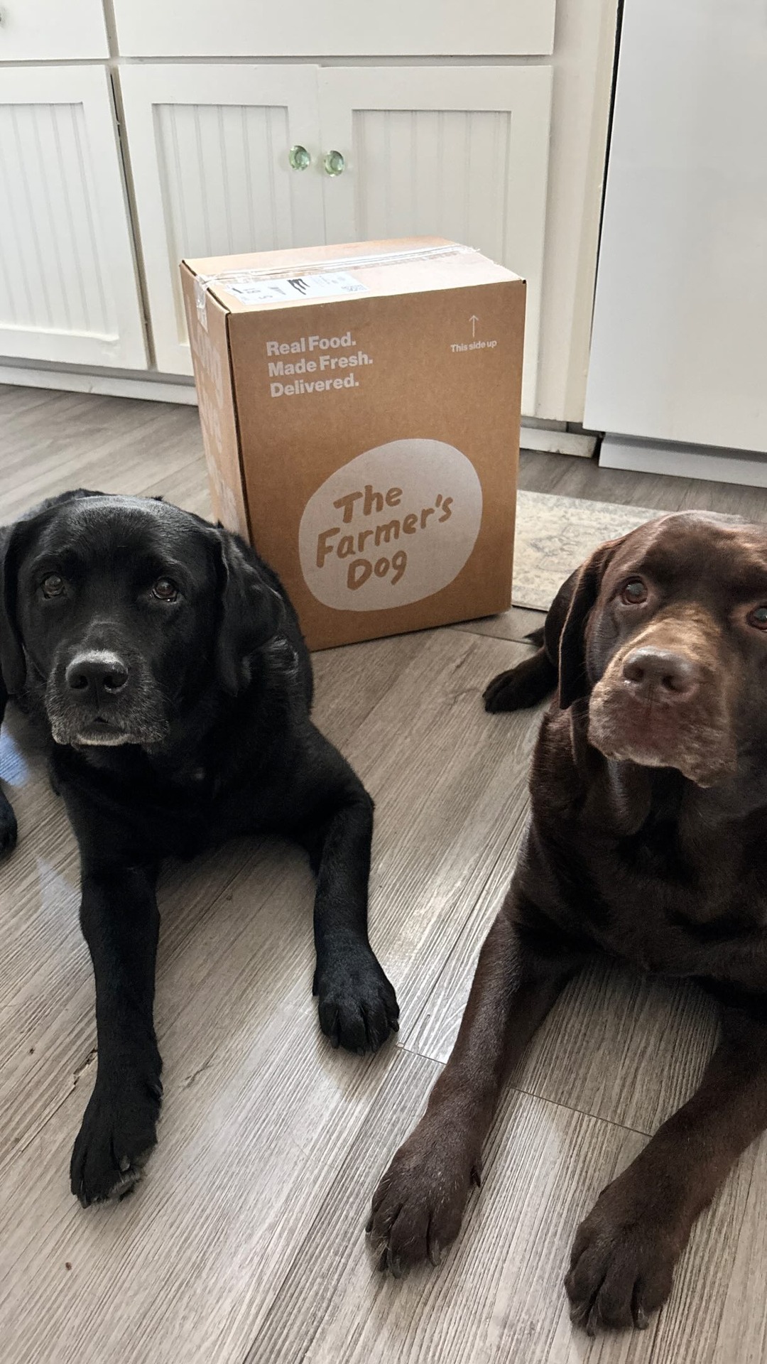 The Farmer's Dog Facebook ad: Even though they’re completely different dogs with unique…