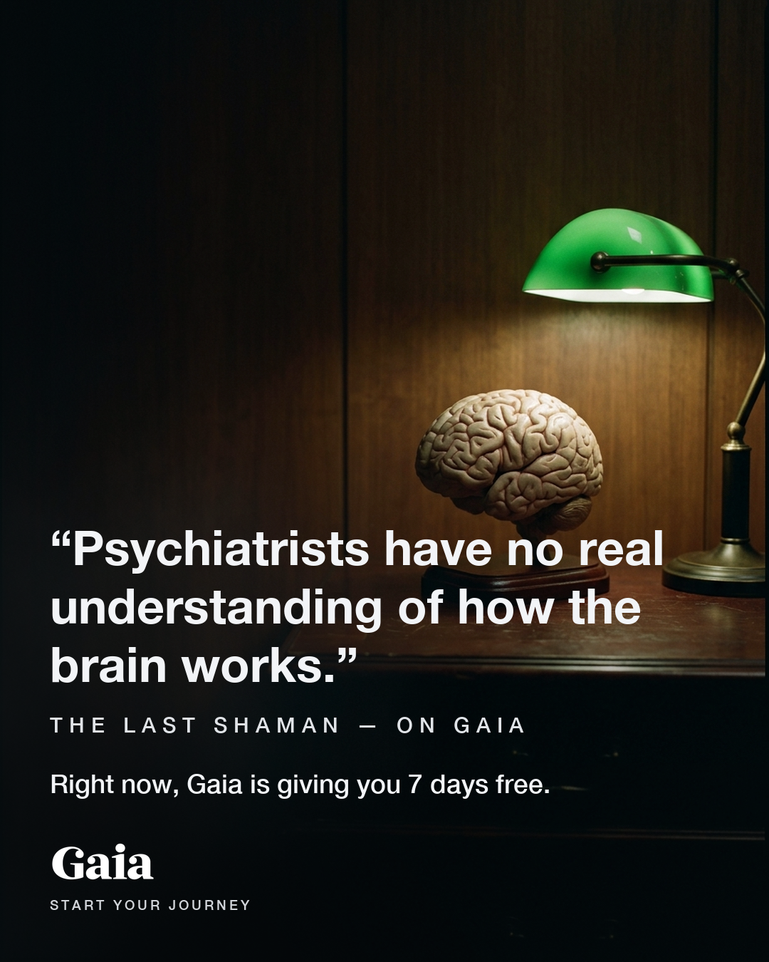 Gaia Facebook ad