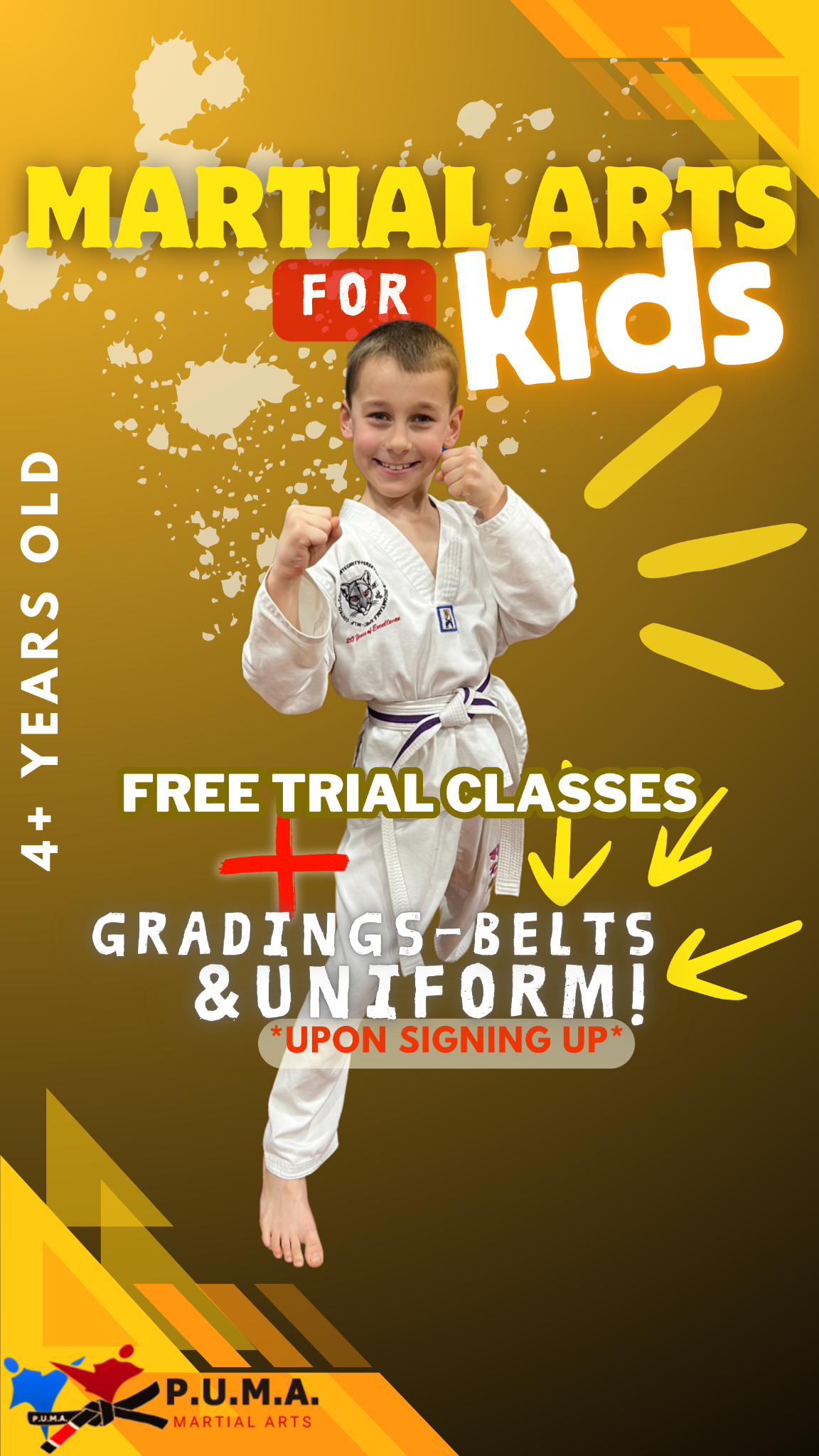 PUMA Martial Arts in Swindon, Bath, Newbury and Yate Facebook ad