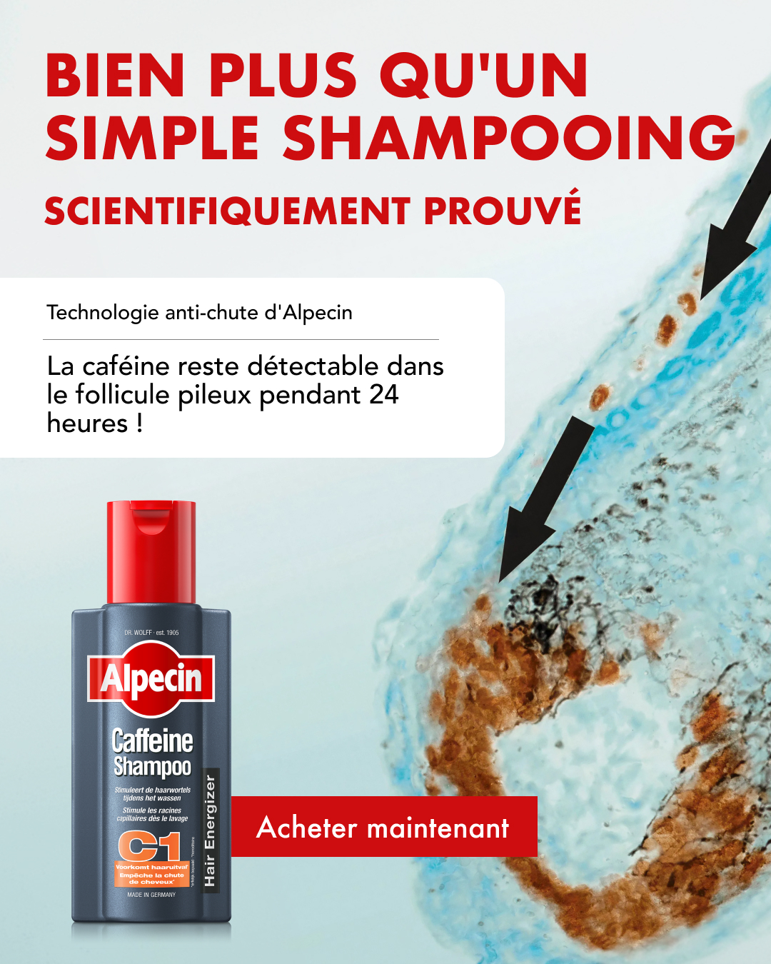 Alpecin Facebook ad