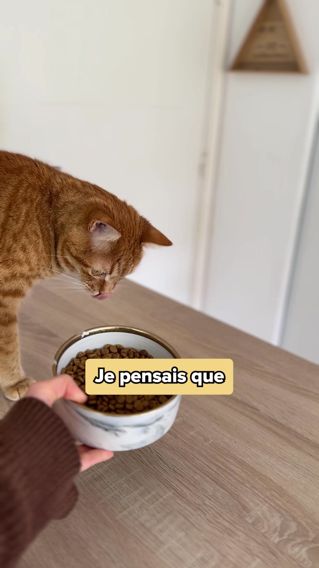 Franklin Pet Food Facebook ad: Croquettes sans céréales