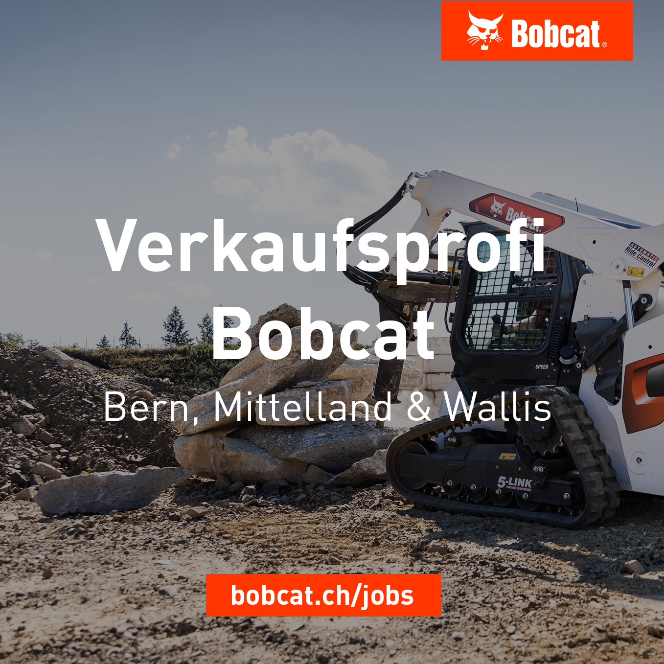 A. Leiser AG Facebook ad: Deine Passion: Technik und Vertrieb?