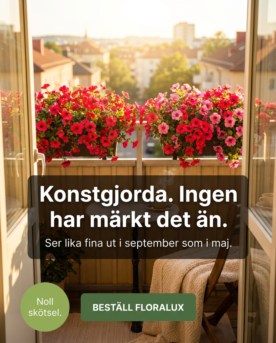Norillo Facebook ad