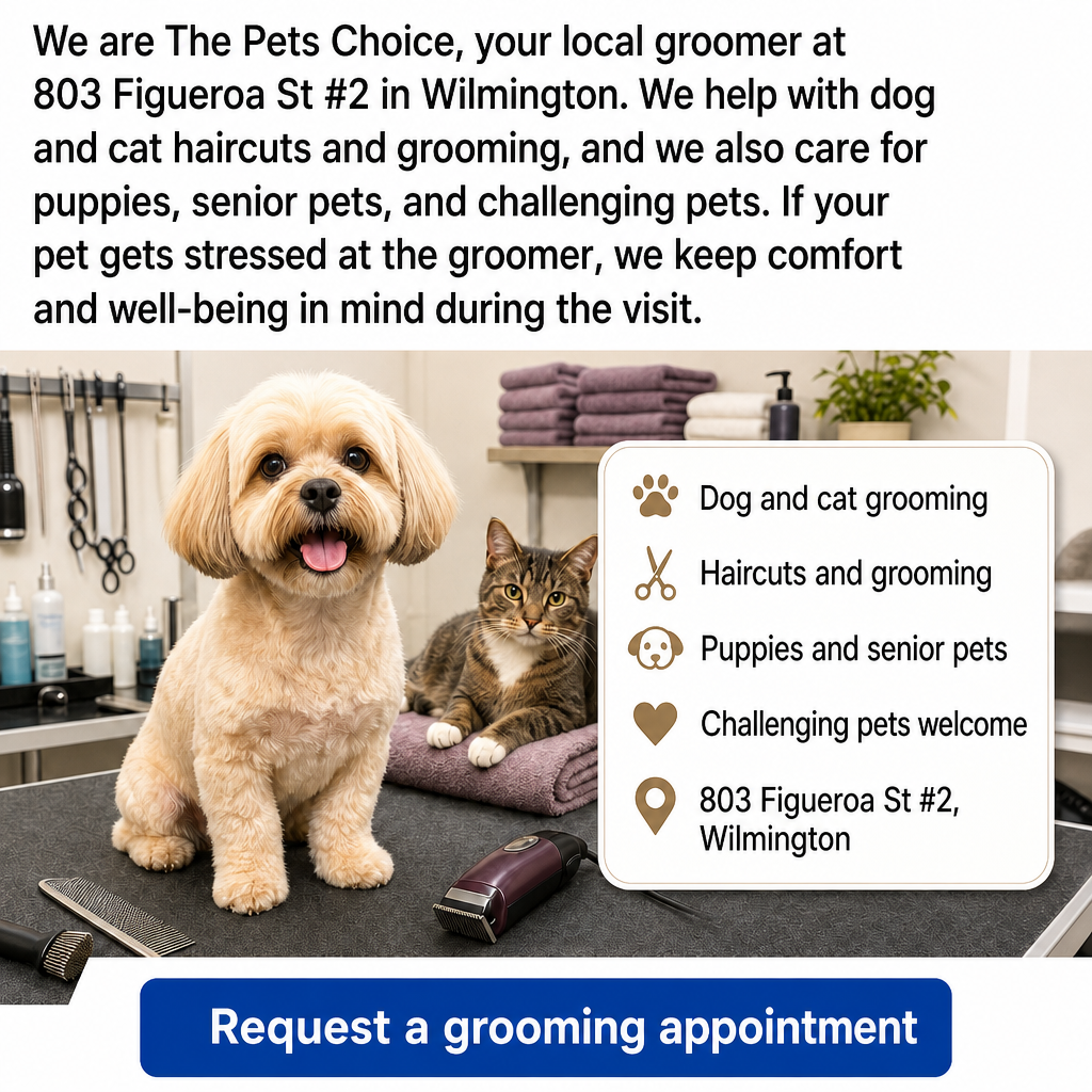 Kopa.ai - Your Local Favorites Facebook ad