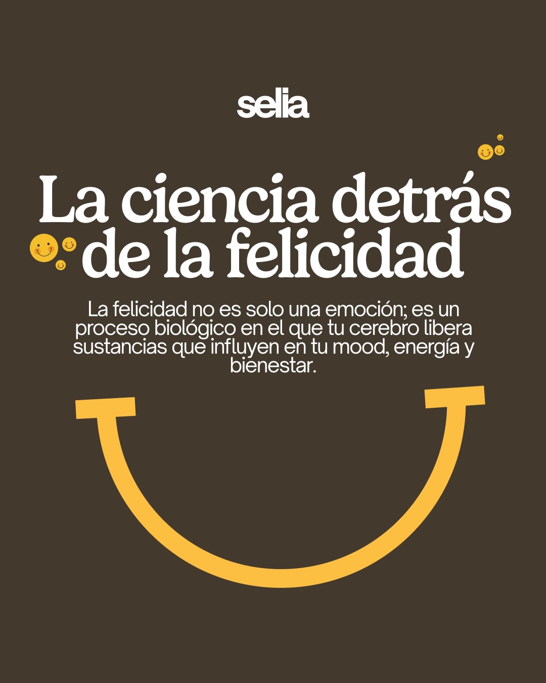 Selia Facebook ad