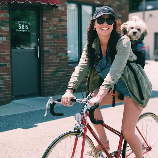 K9 Sport Sack Facebook ad