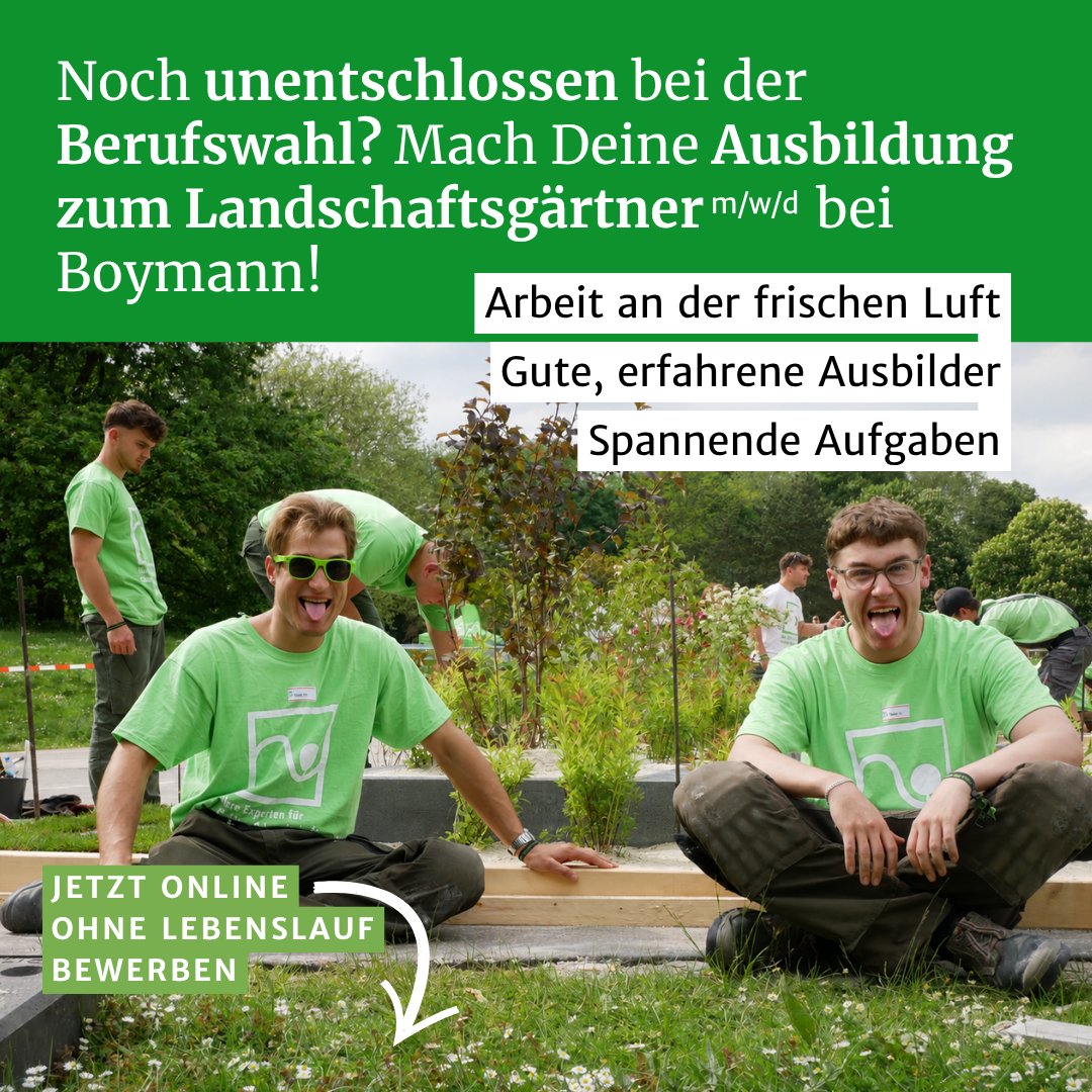 Boymann GmbH & Co. KG Facebook ad