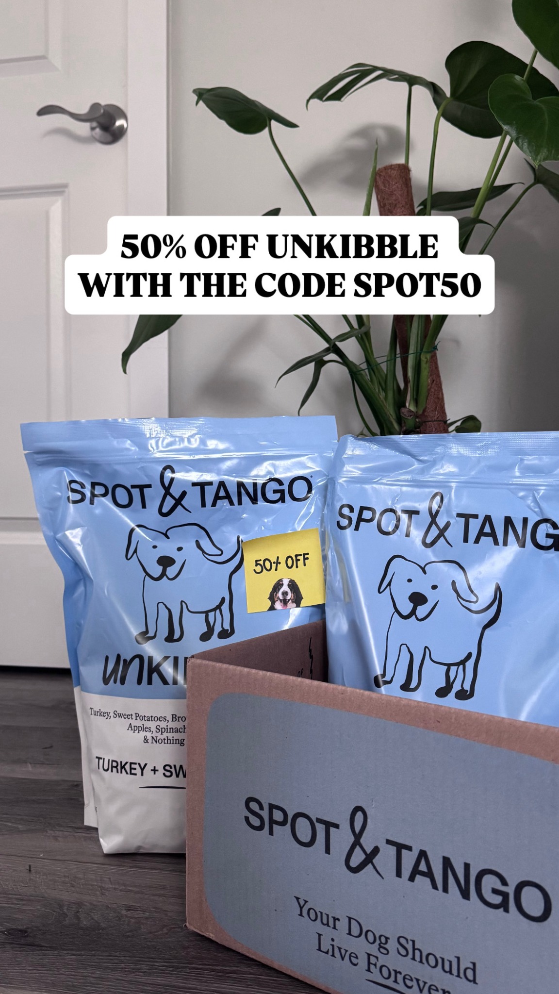 Kylo the Pomapoo Facebook ad