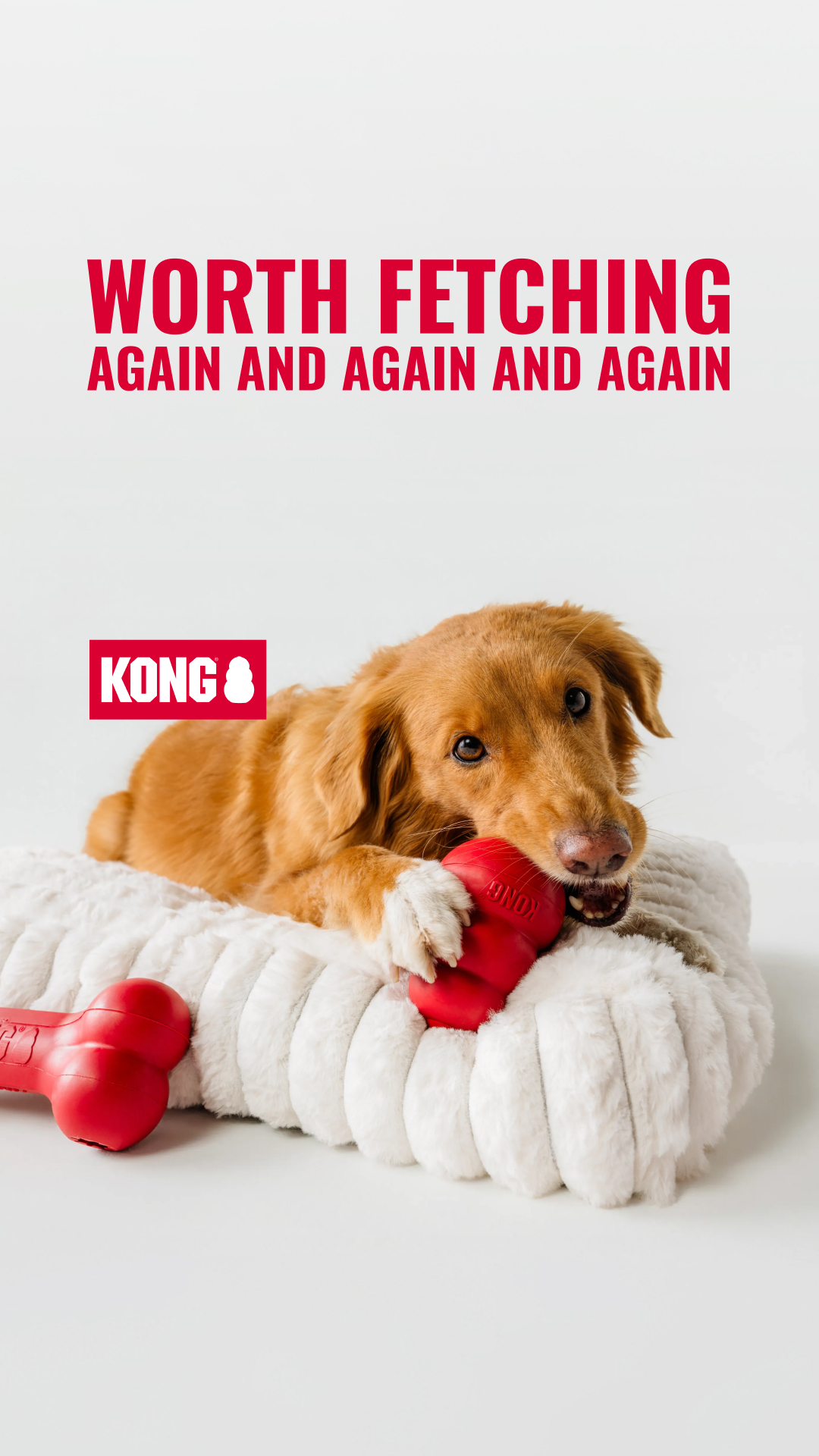 KONG Facebook ad