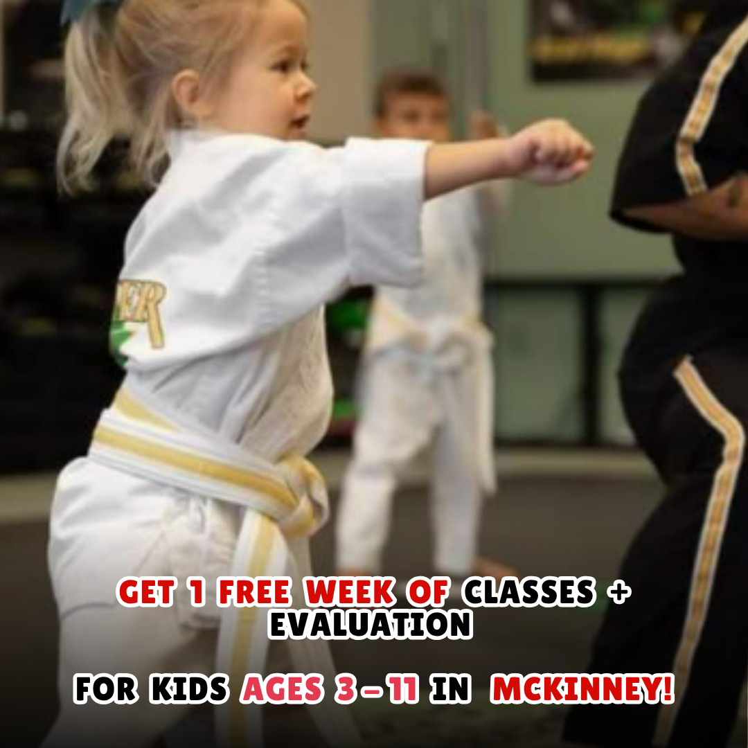 Premier Martial Arts Facebook ad