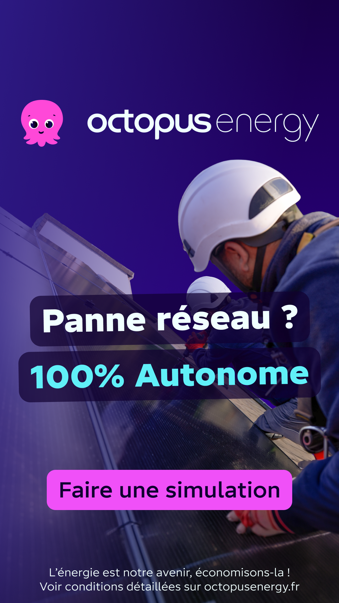 Octopus Energy Facebook ad