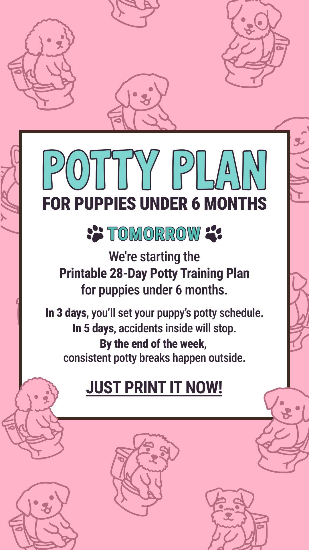 Woofz - Puppy Training Facebook ad