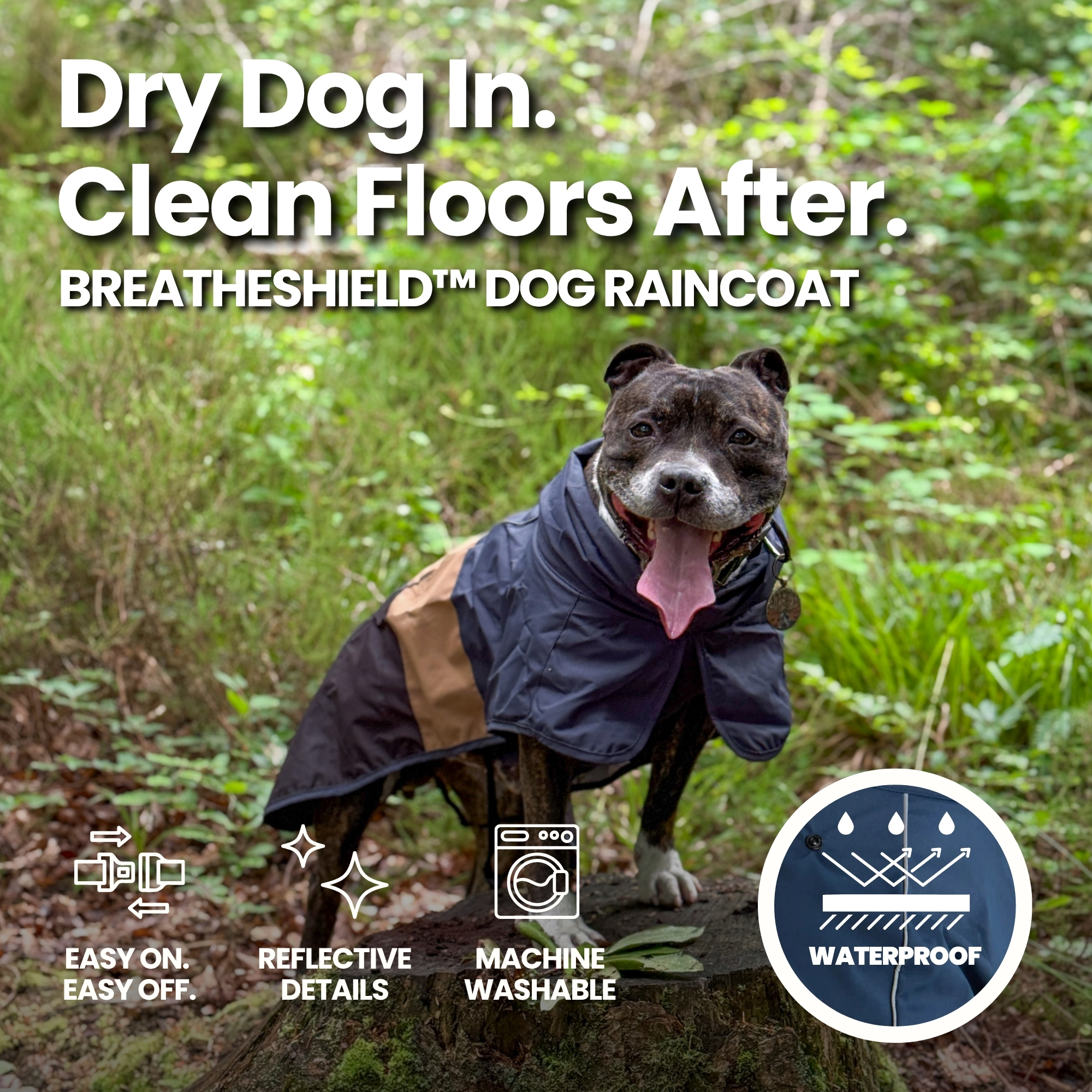 Spark Paws Facebook ad