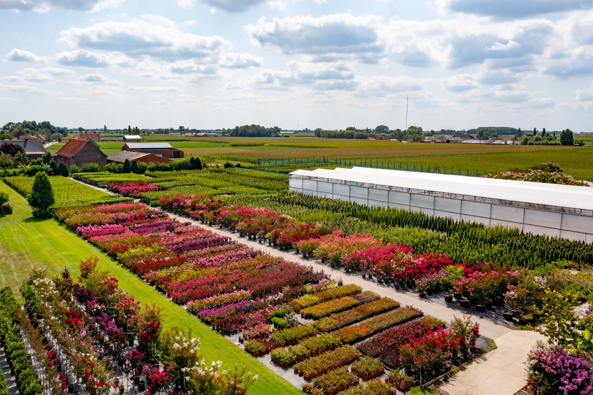 a.Sierplant.be Devriese-Luyssen Facebook ad: De Feestelijke Opening