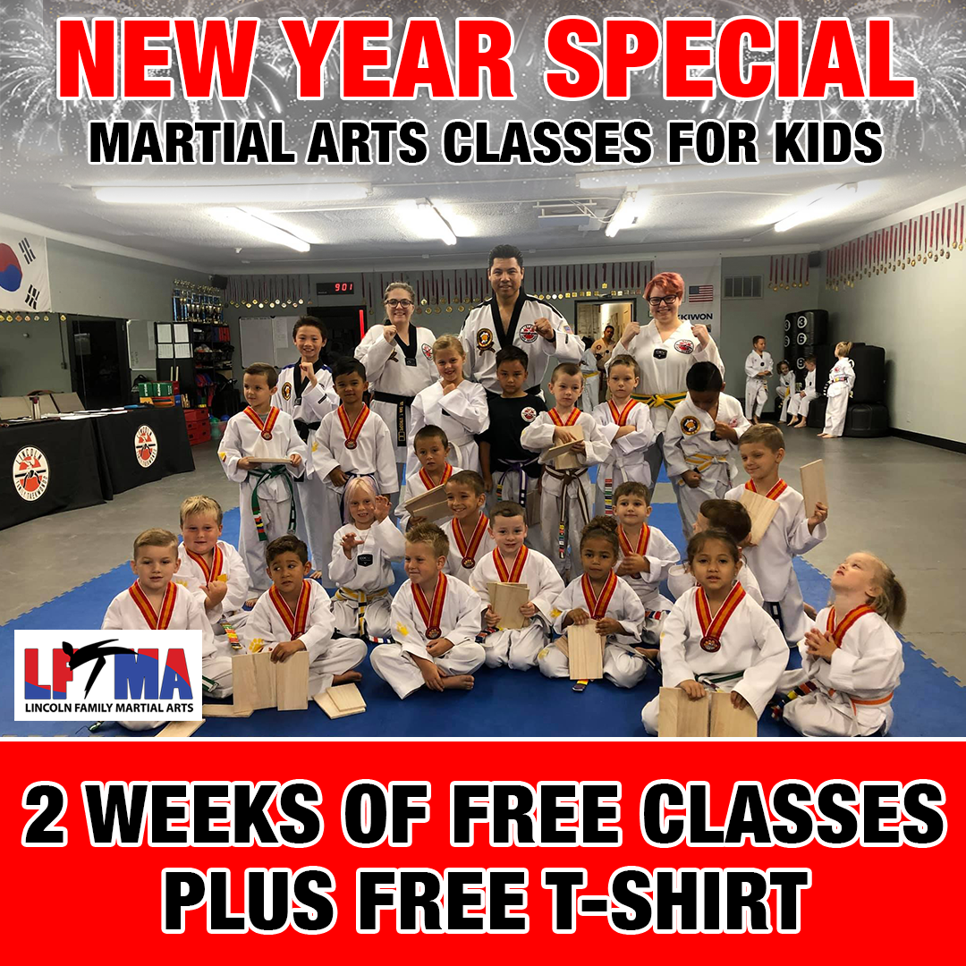 Lincoln Family Martial Arts Academy Facebook ad