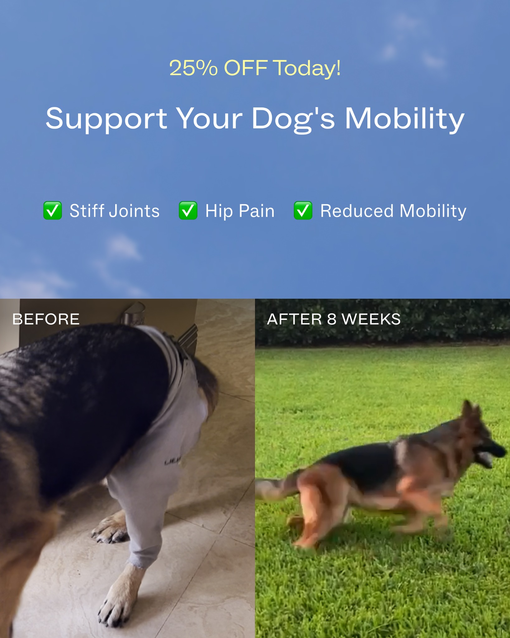 Dog is Human Facebook ad