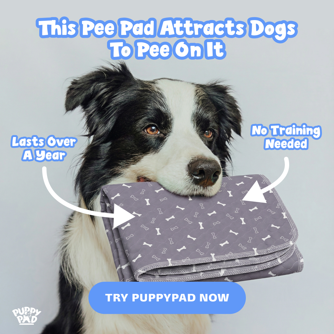 PuppyPad Facebook ad