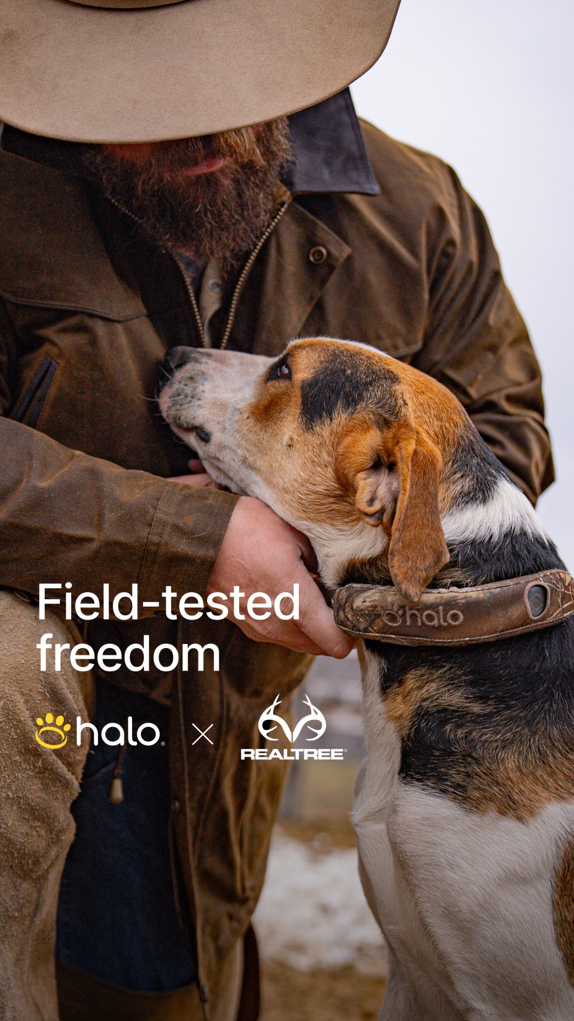 Halo Collar Facebook ad