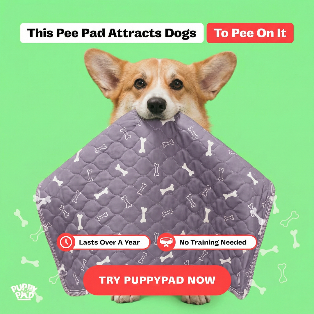 PuppyPad Facebook ad