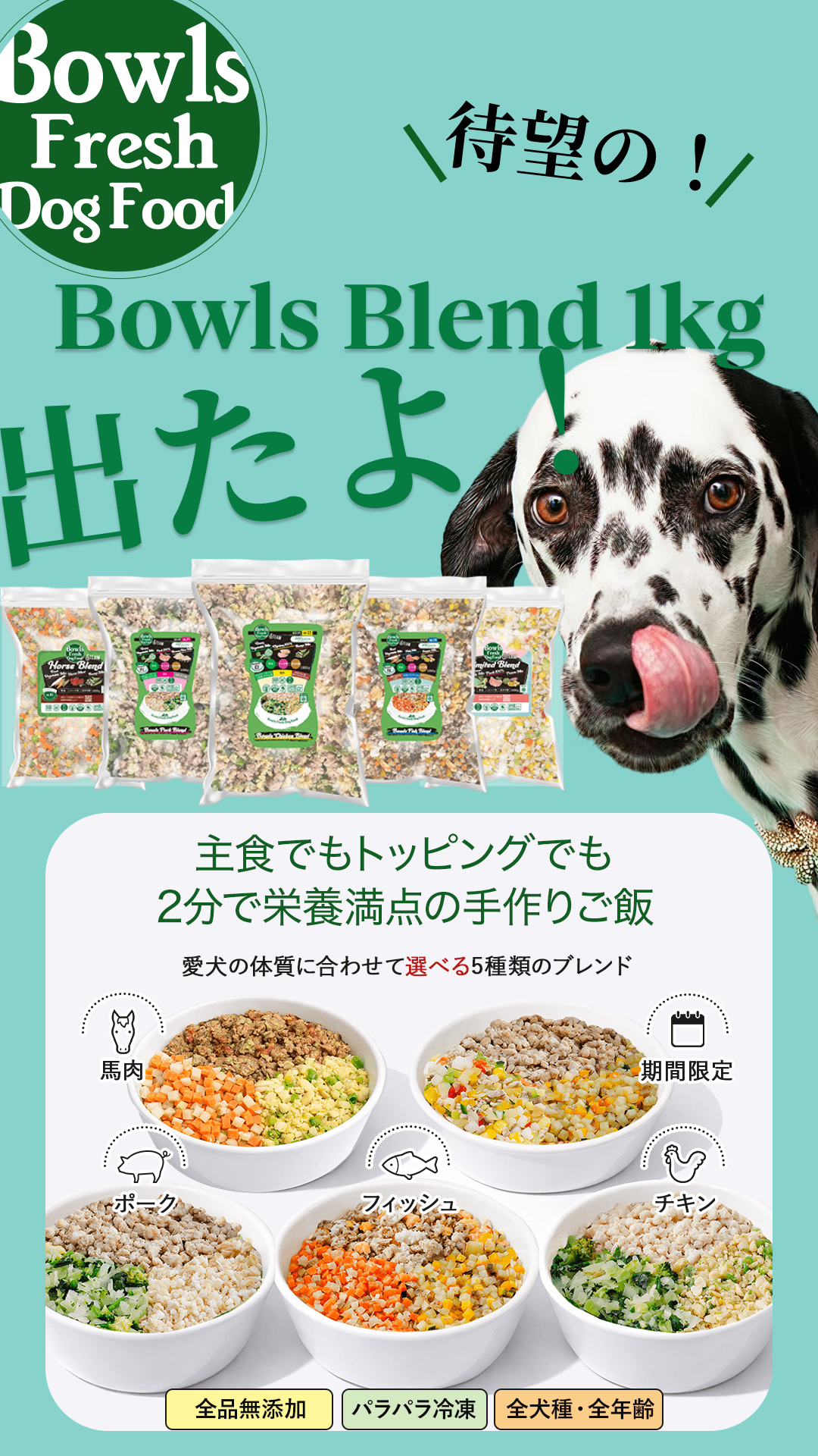 Bowls Fresh Dog Food Facebook ad from May 16, 2026