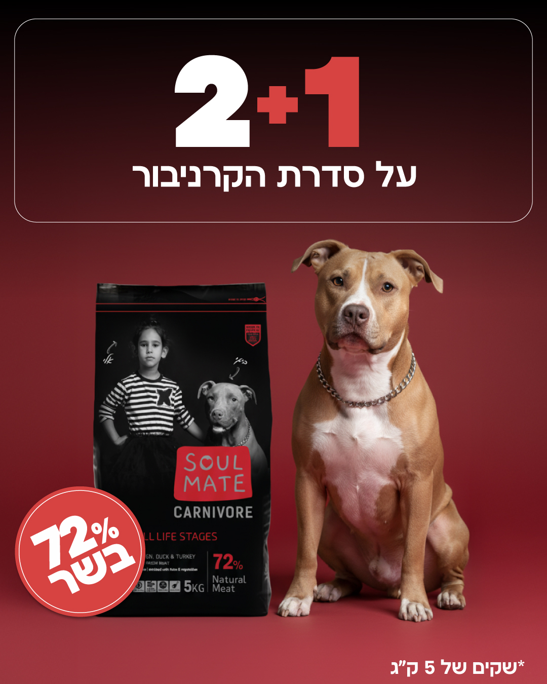 Soulmate - סולמייט Facebook ad