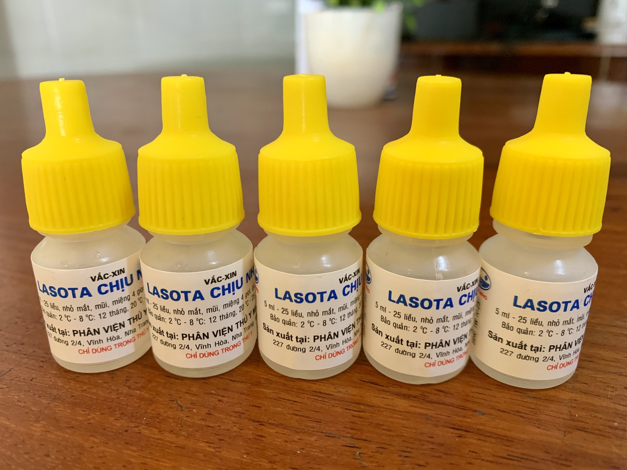 HPV លក់ថ្នាំ និង វ៉ាក់សាំងសត្វ Facebook ad: (ឡាសូតា) ជាប្រភេទវ៉ាក់សាំង…
