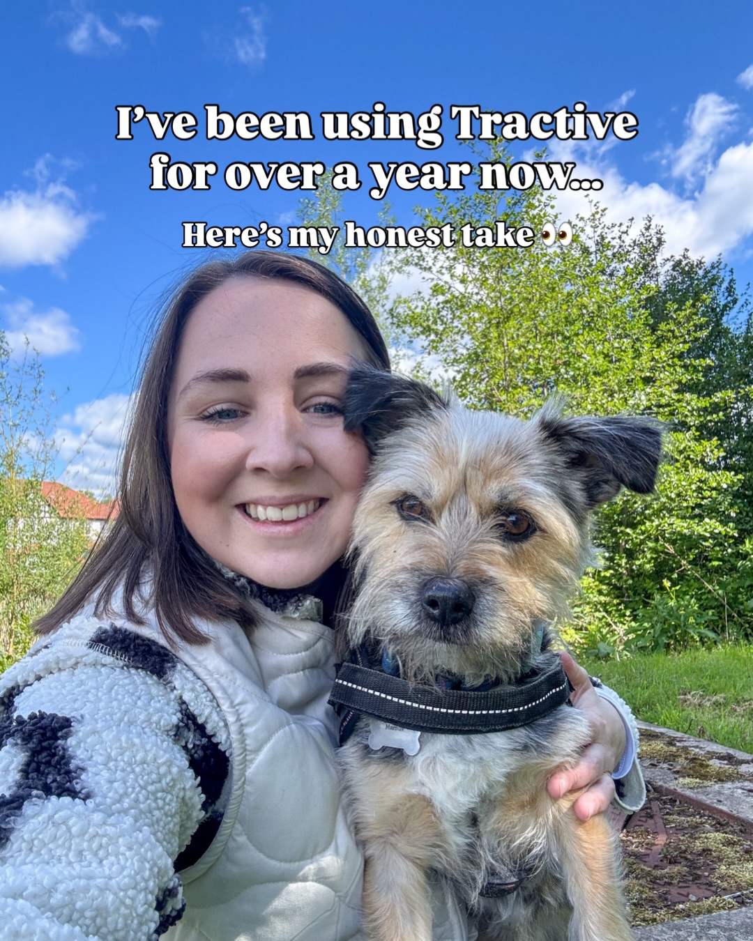 Great British Dog Walks Facebook ad