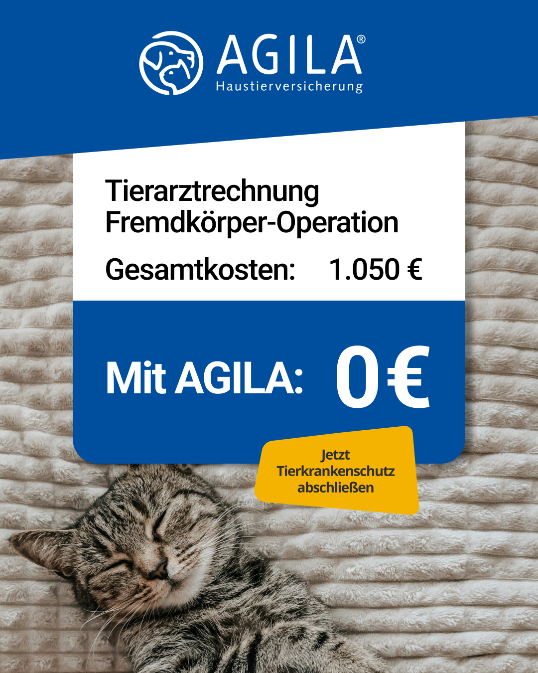 AGILA Haustierversicherung Facebook ad
