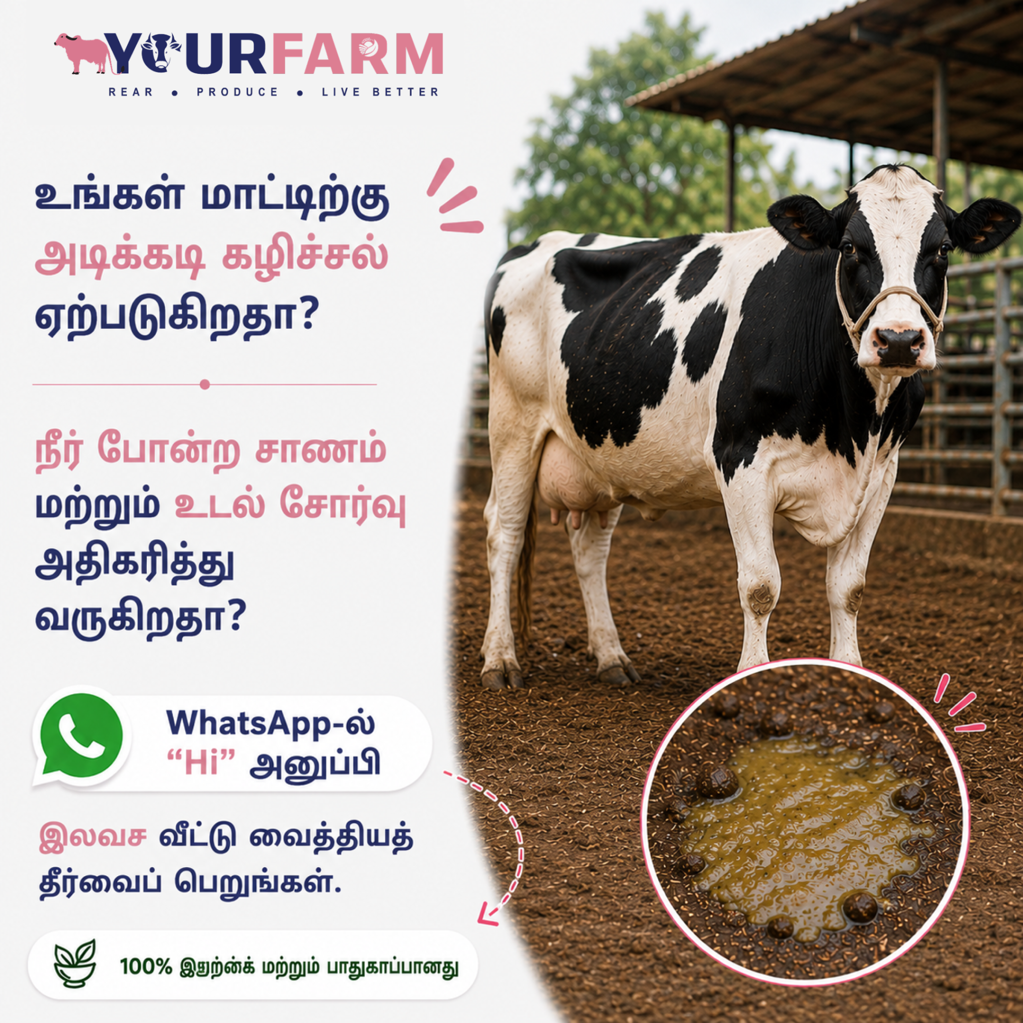 YourFarm AgriTech Facebook ad: உங்கள் மாட்டிற்கு ஏதேனும் உடல்நலப் பிரச்சனை இருக்கிறதா?