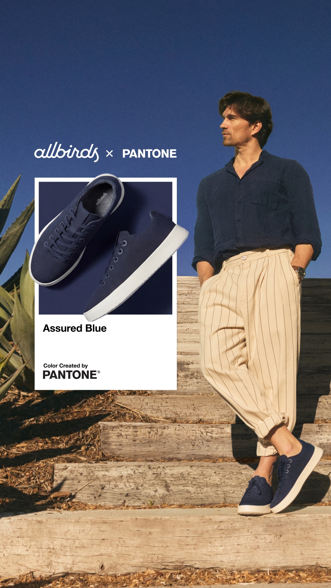 Allbirds Facebook ad