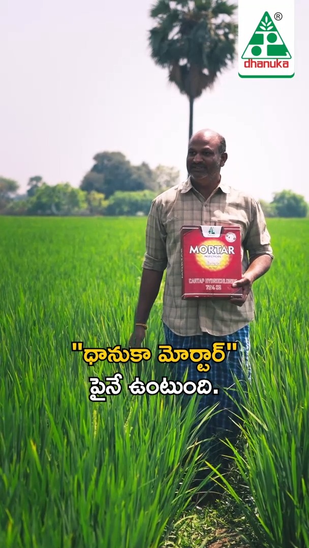 Dhanuka Agritech Ltd Facebook ad: మొర్టార్ వరిలో వచ్చే కాండం తొలుచు పురుగు మరియు ఆకు…