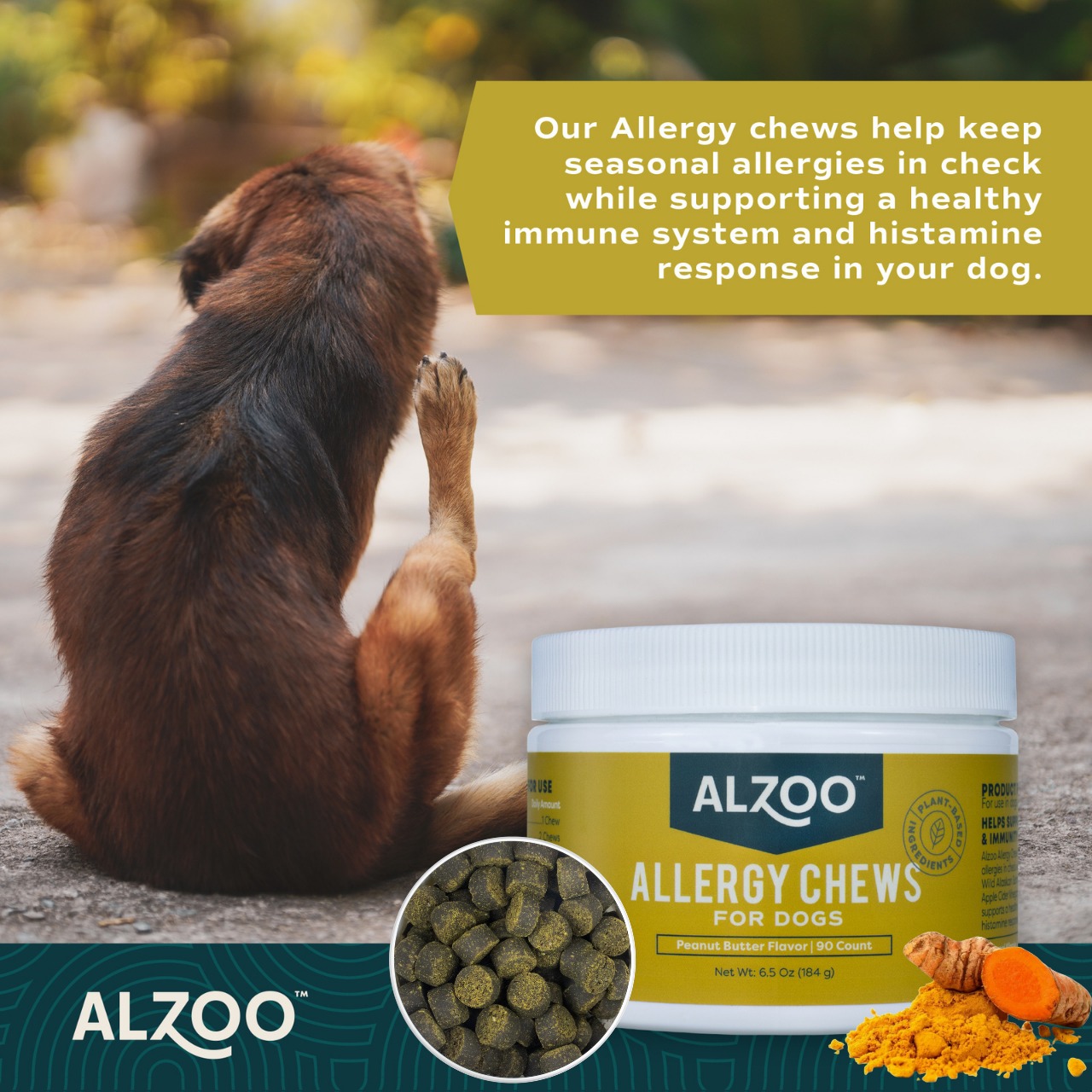 Alzoo Pet Products Facebook ad: ALZOO-VET.COM