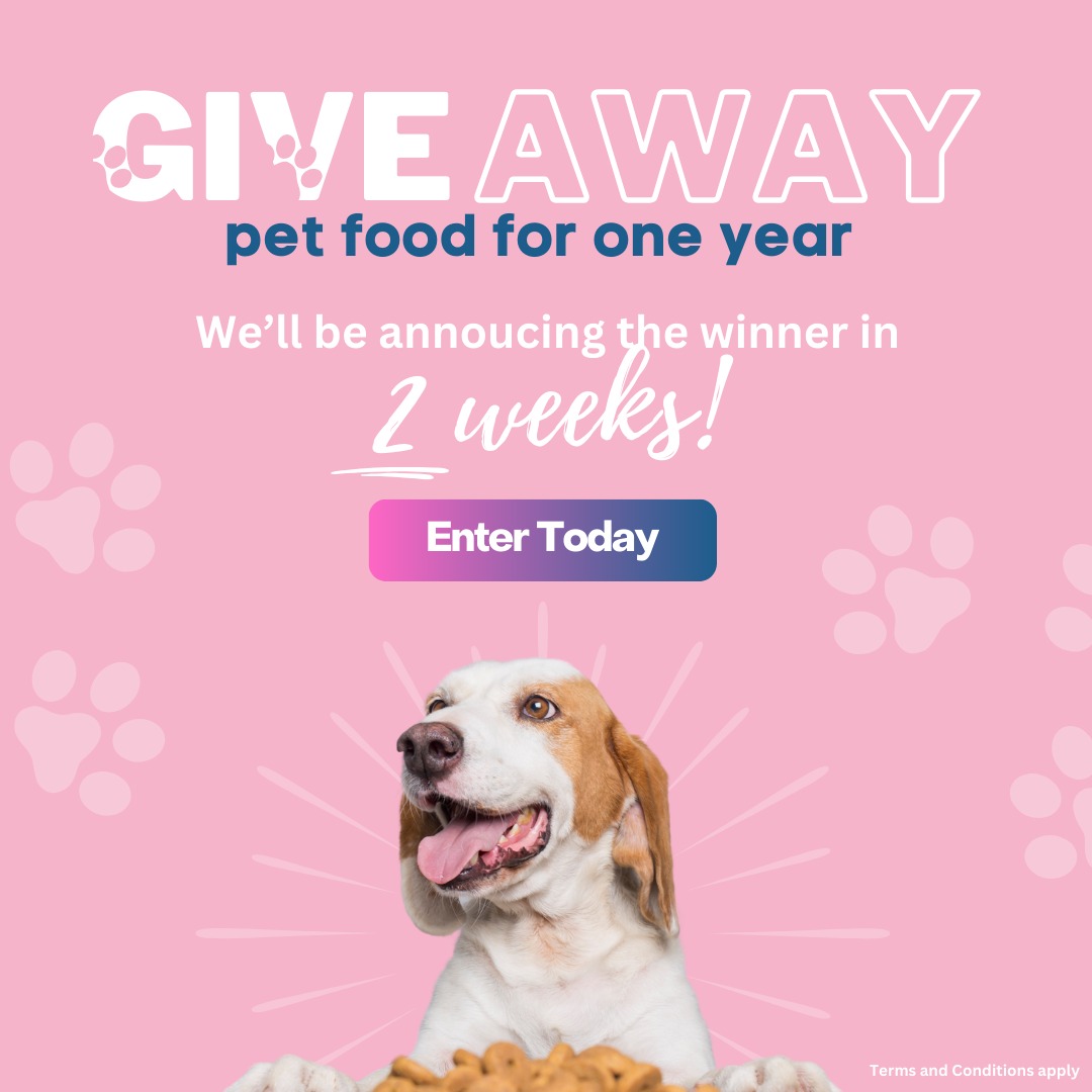Secret Life of Pets Facebook ad