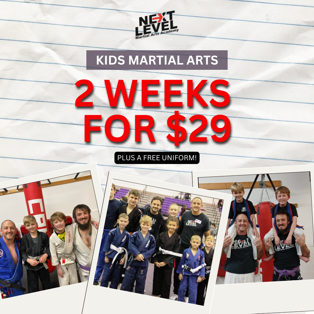 Next Level Martial Arts Facebook ad