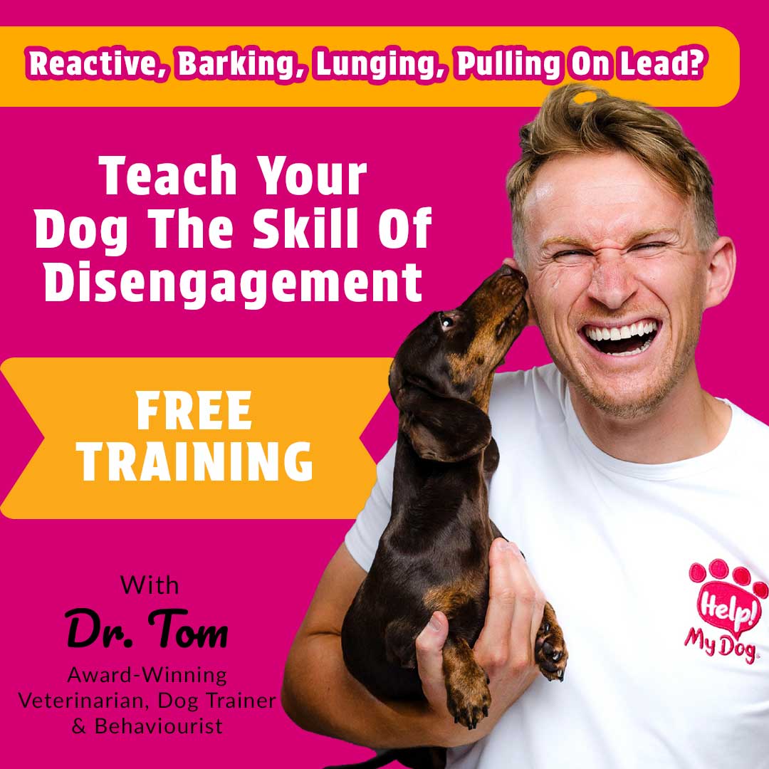 Help My Dog Facebook ad