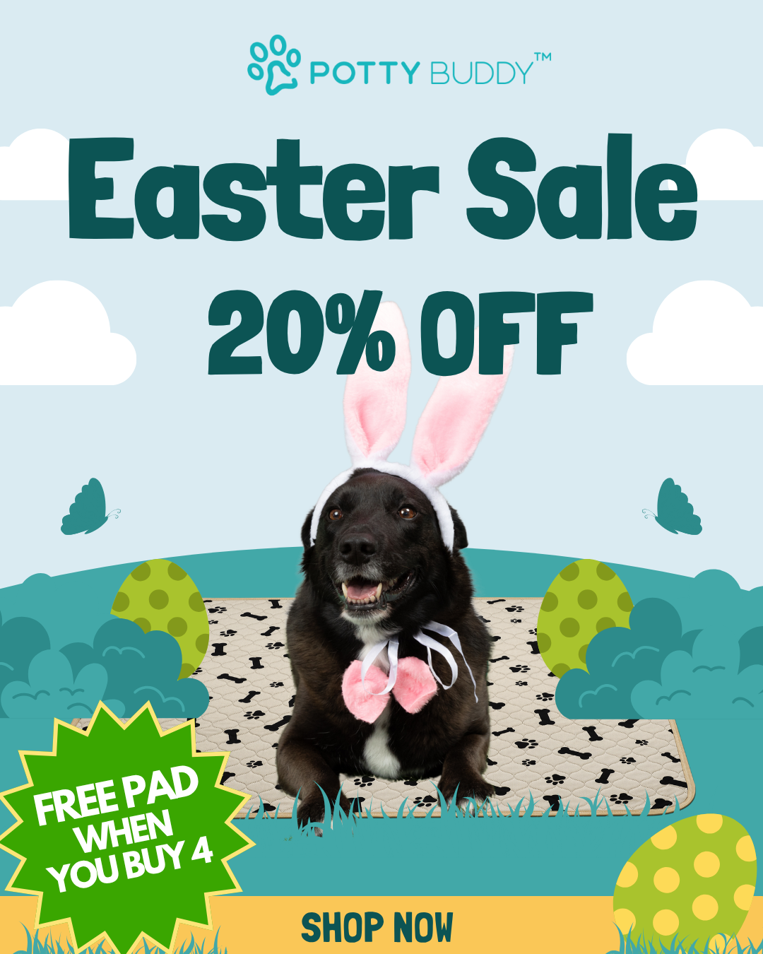 Potty Buddy Facebook ad