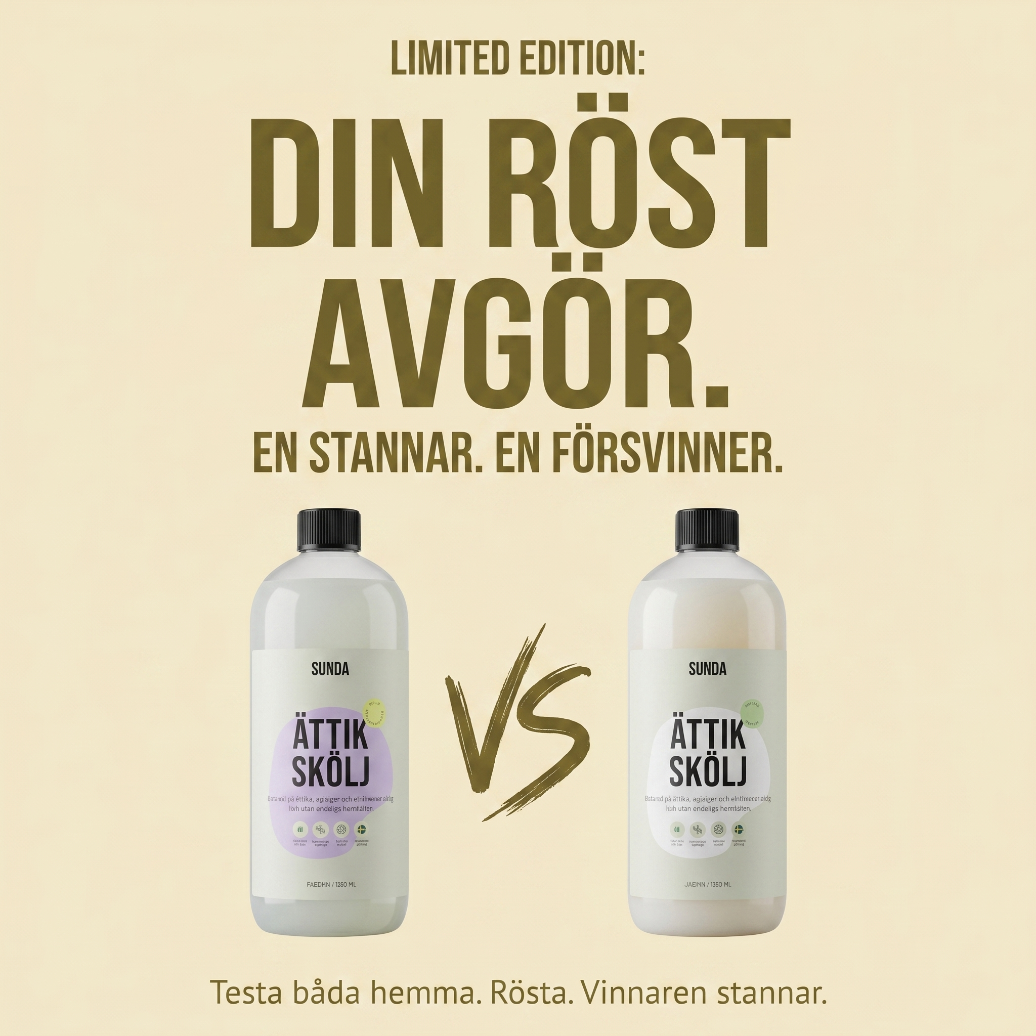 Sunda Facebook ad