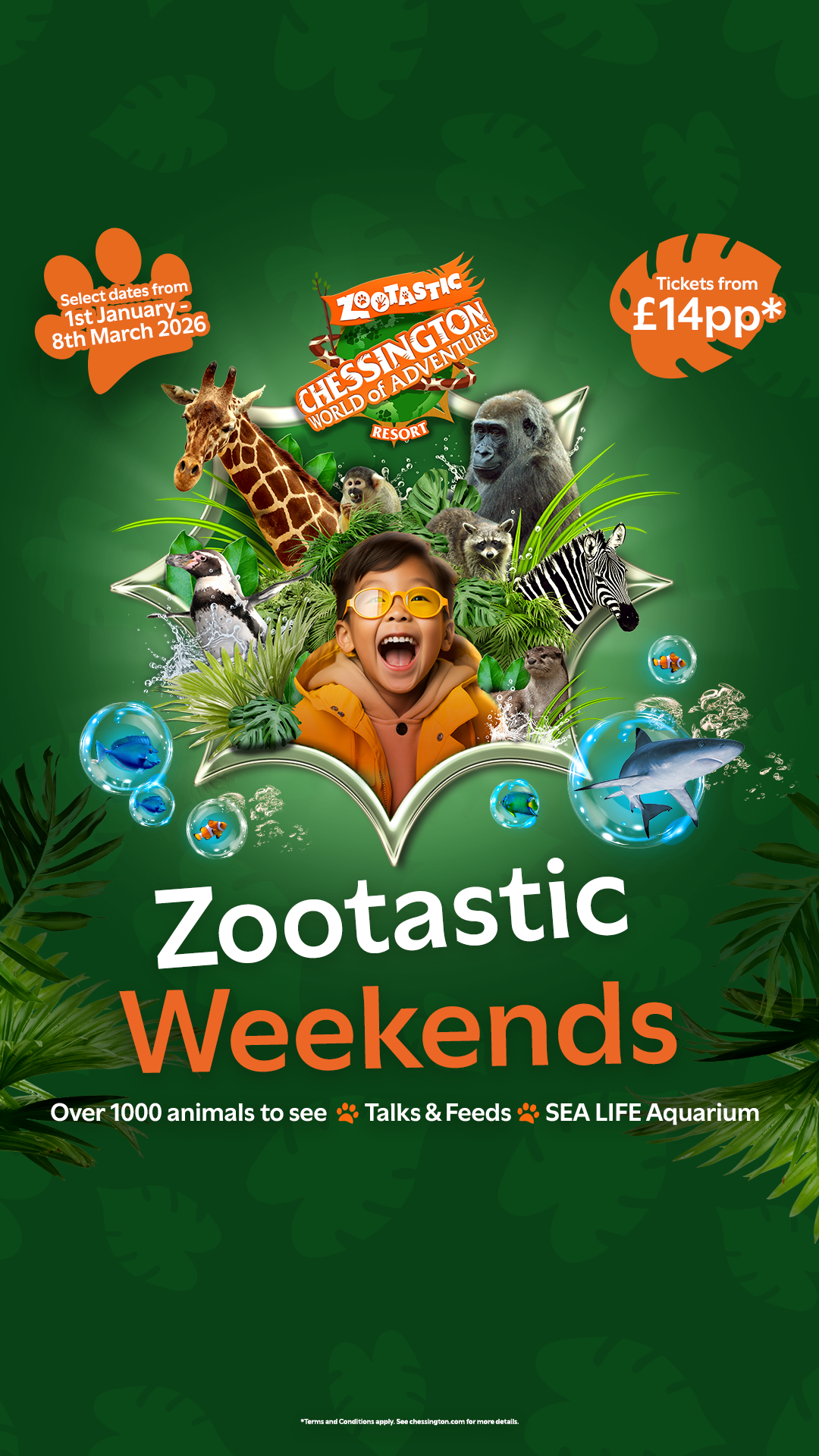 Chessington World of Adventures Resort Facebook ad from Jan 6, 2026