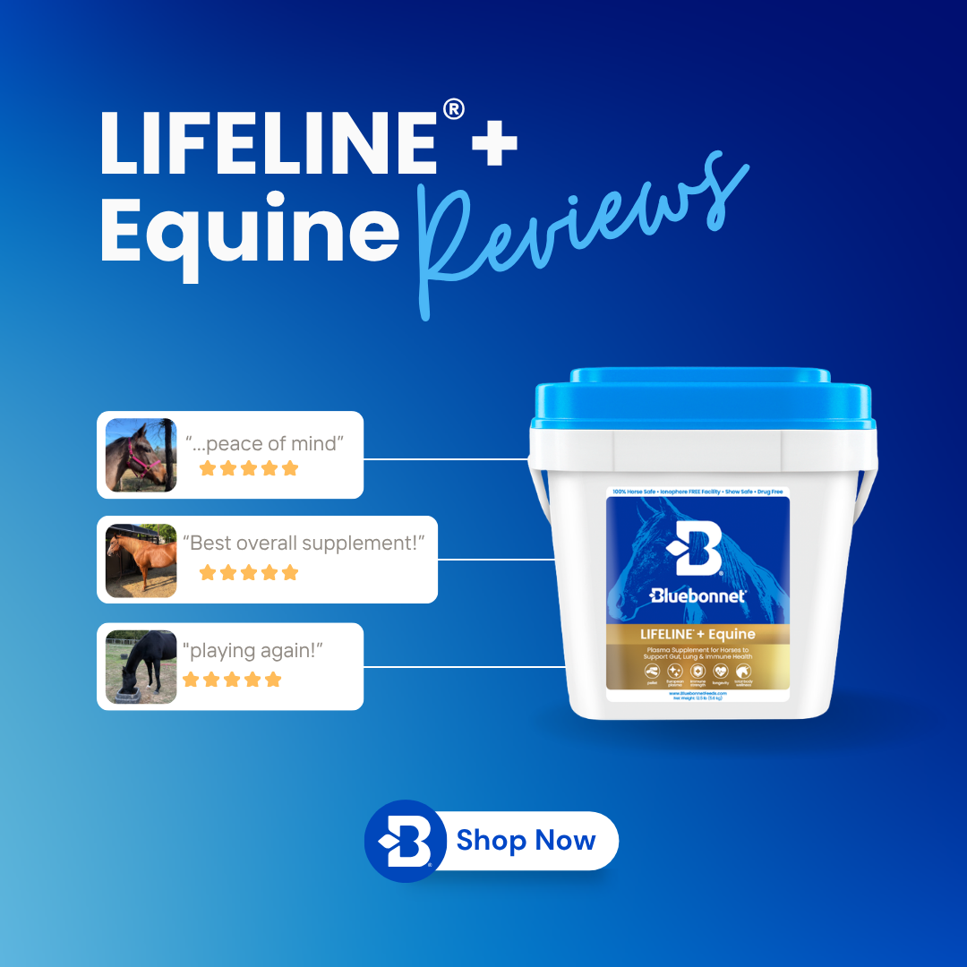 Bluebonnet Facebook ad
