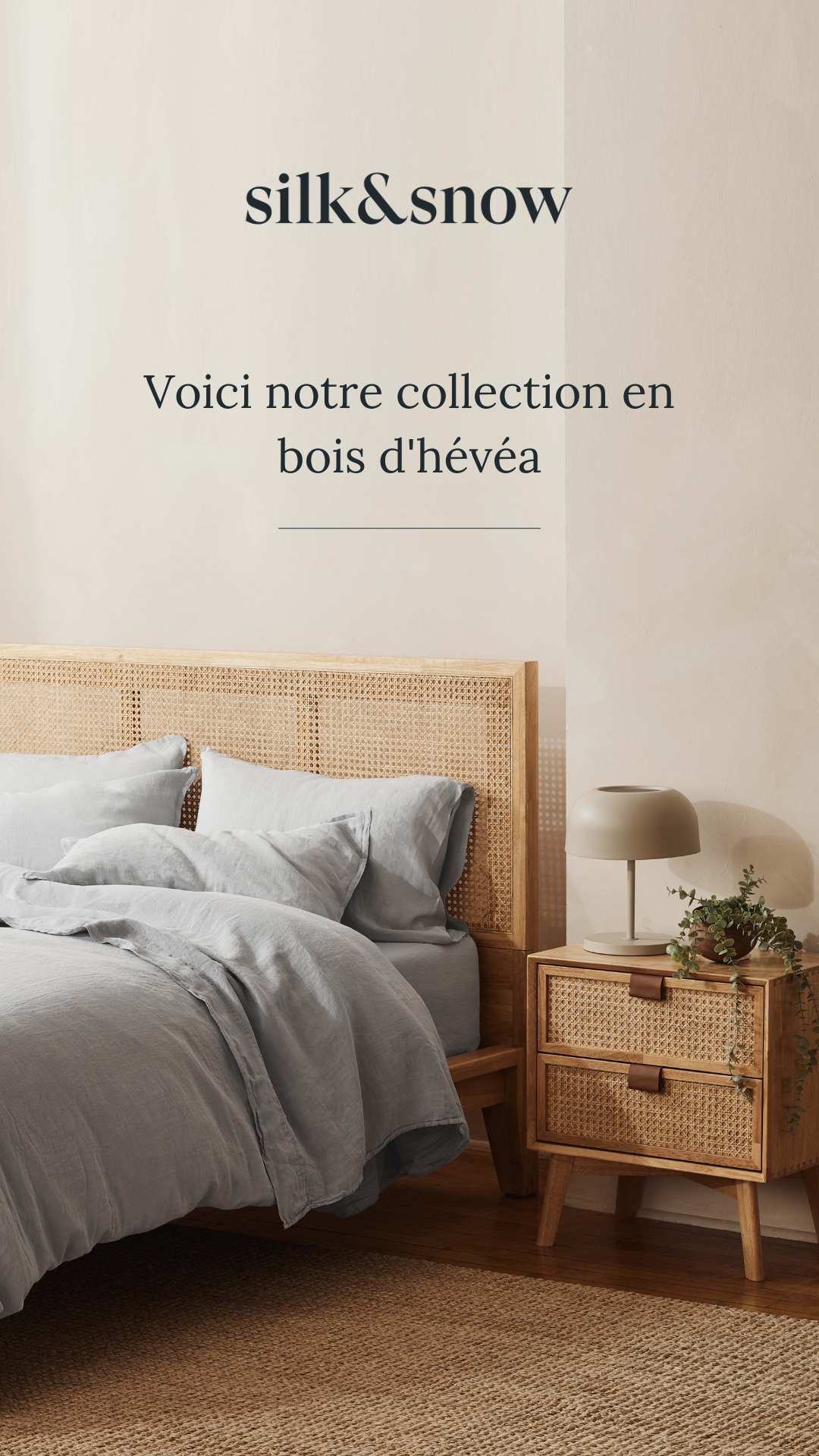 Maison Silk & Snow Facebook ad
