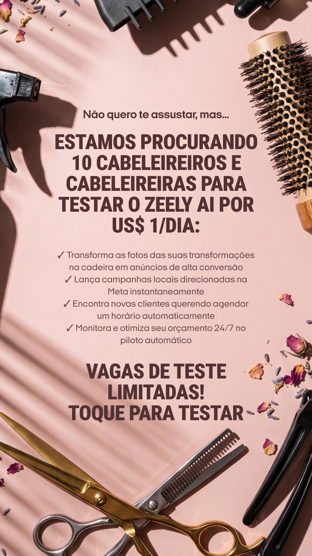 Zeely Facebook ad