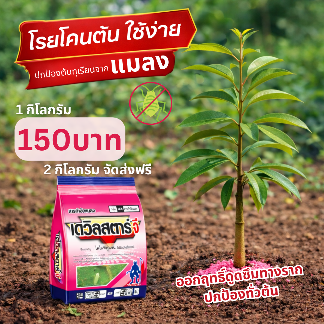 หมาขนปุ๋ย Facebook ad