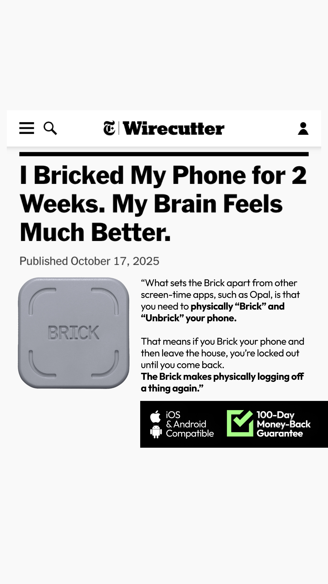 Brick - Take Back Your Time Facebook ad
