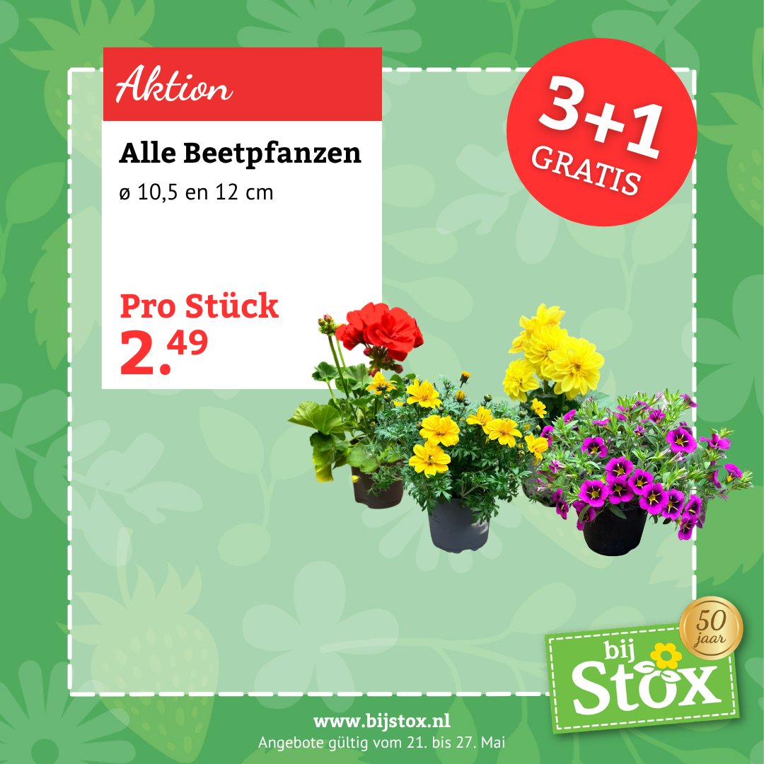 Tuincentrum BijStox Facebook ad