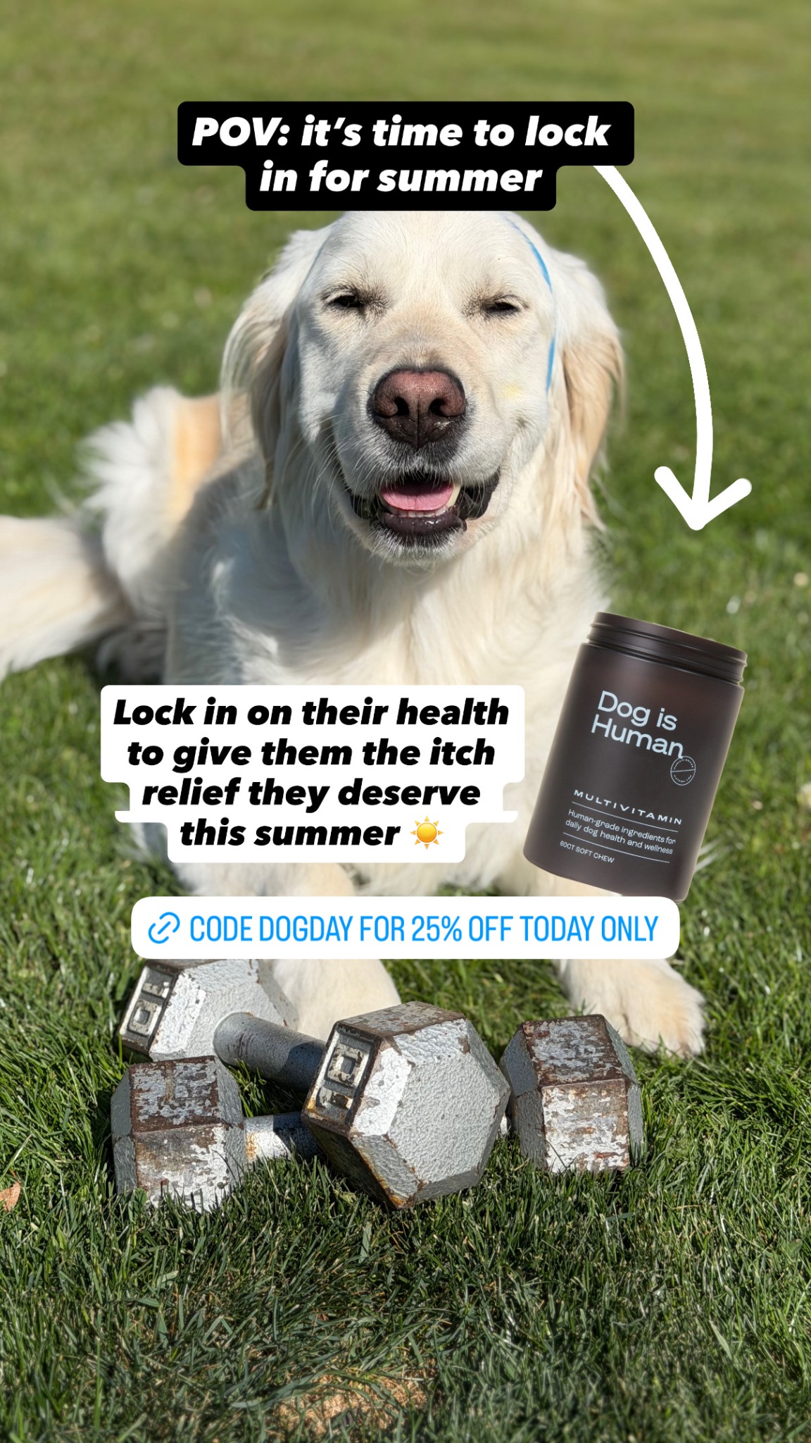 Dog is Human Facebook ad