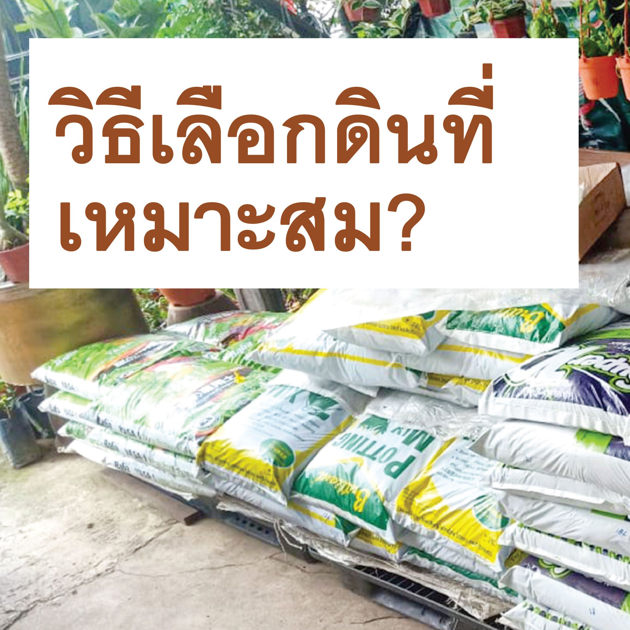 Baba Gardening _ บาบา การ์เดนนิ่ง Facebook ad