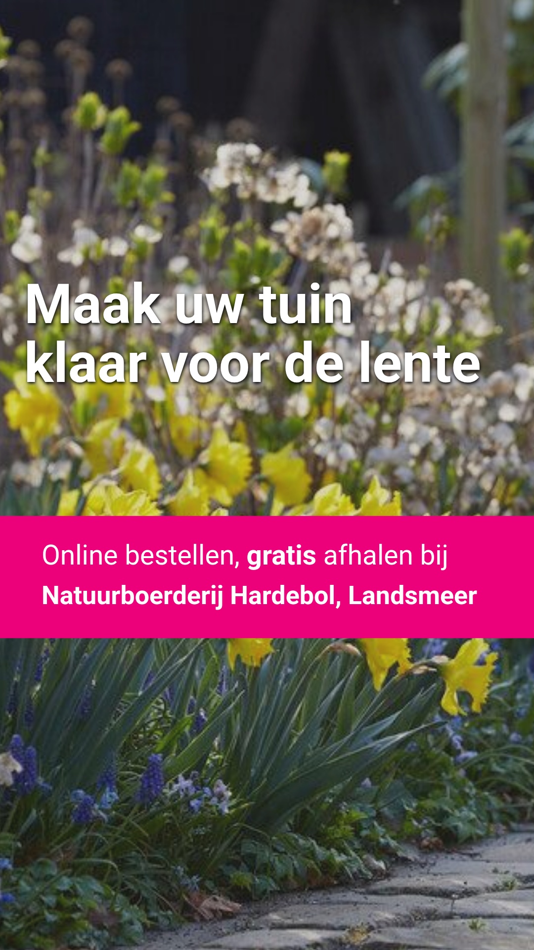 Directplant Facebook ad
